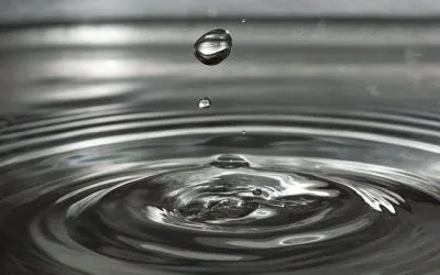 6 Tips To Prevent Water Damage In Your Home